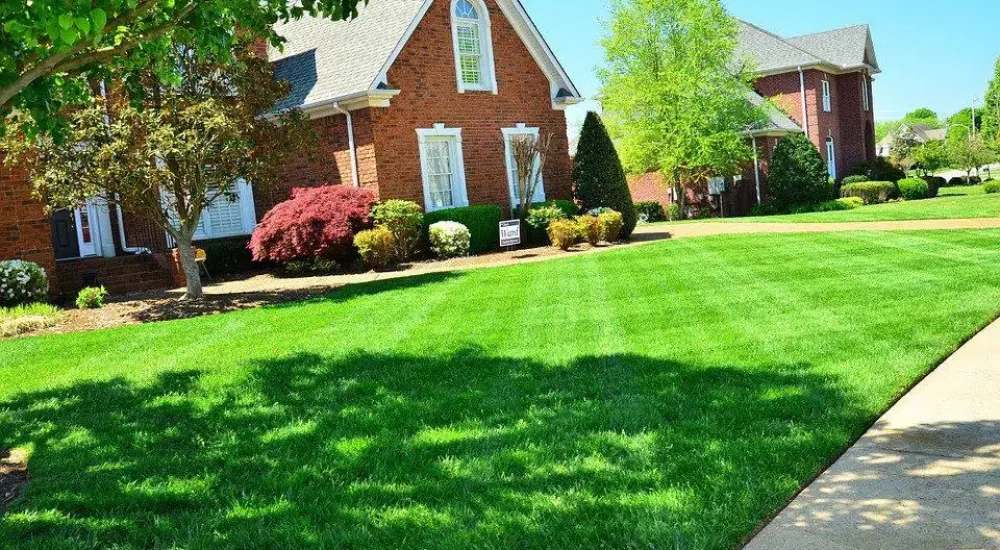 lawn-care-643561_960_720